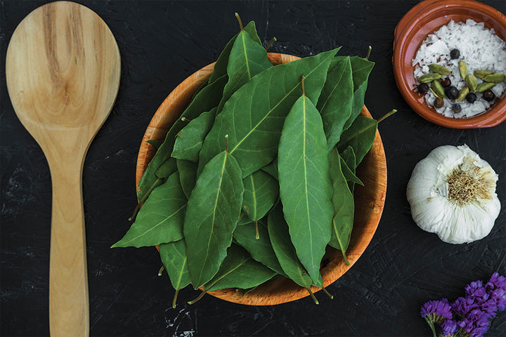 Nature's Hidden Gem Neem Leaves Benefits