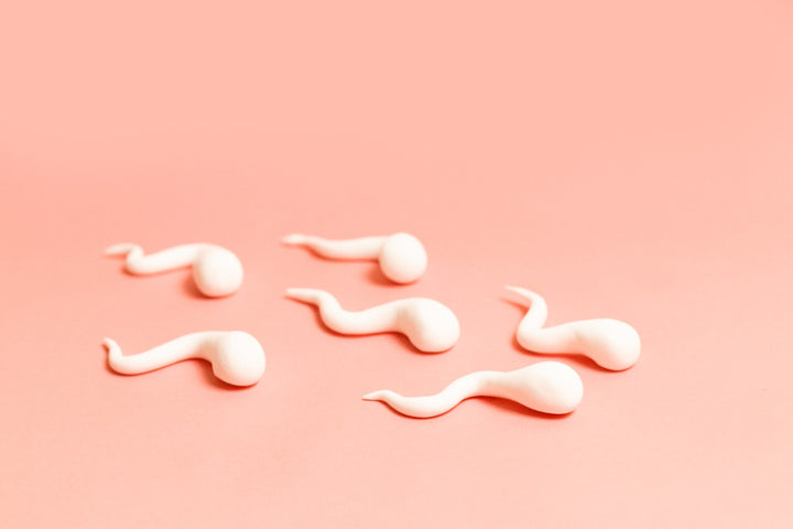 Sperm