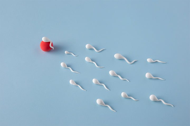 how to confirm whether sperm went inside